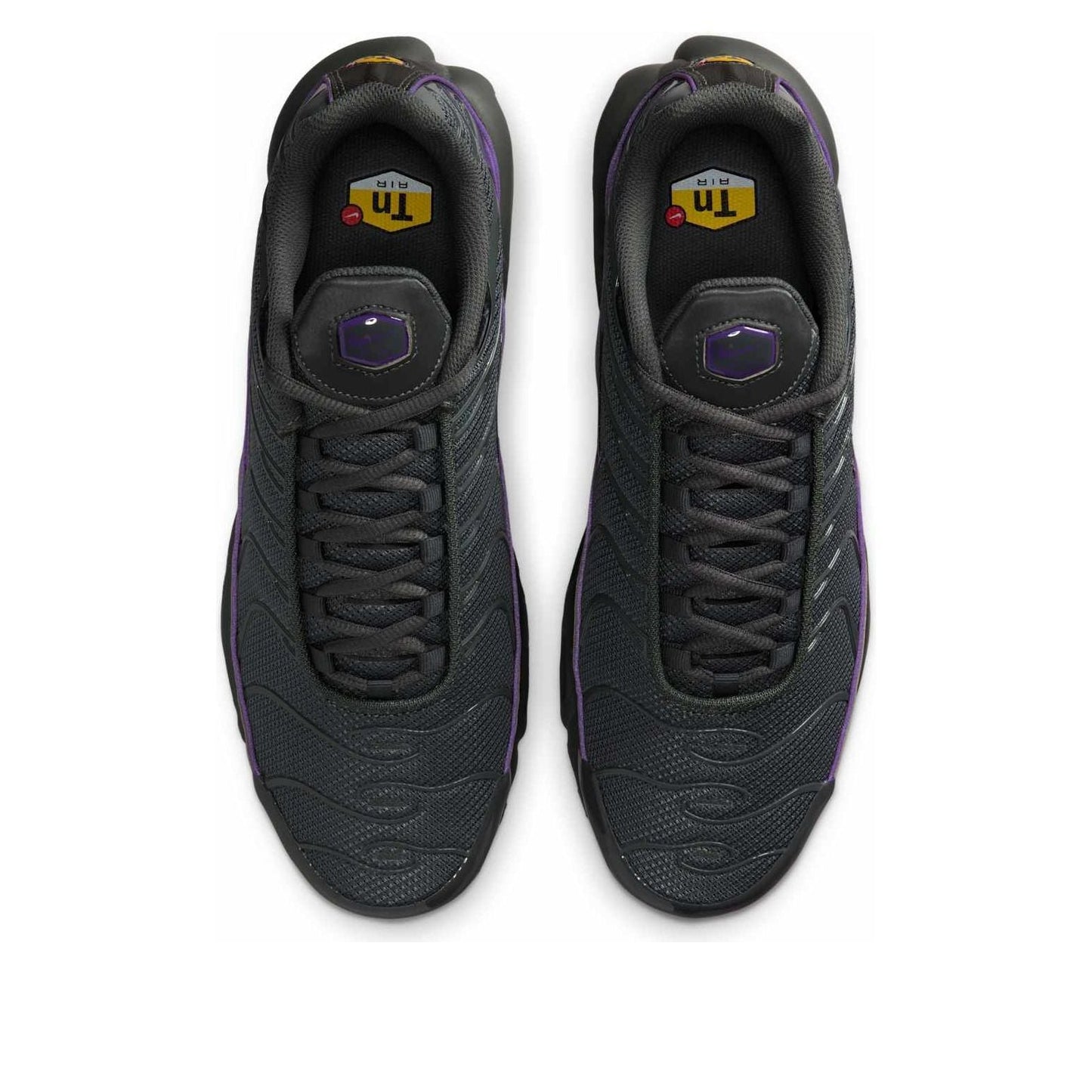 Nike Air Max Plus OG Iron Grey Wild Grape