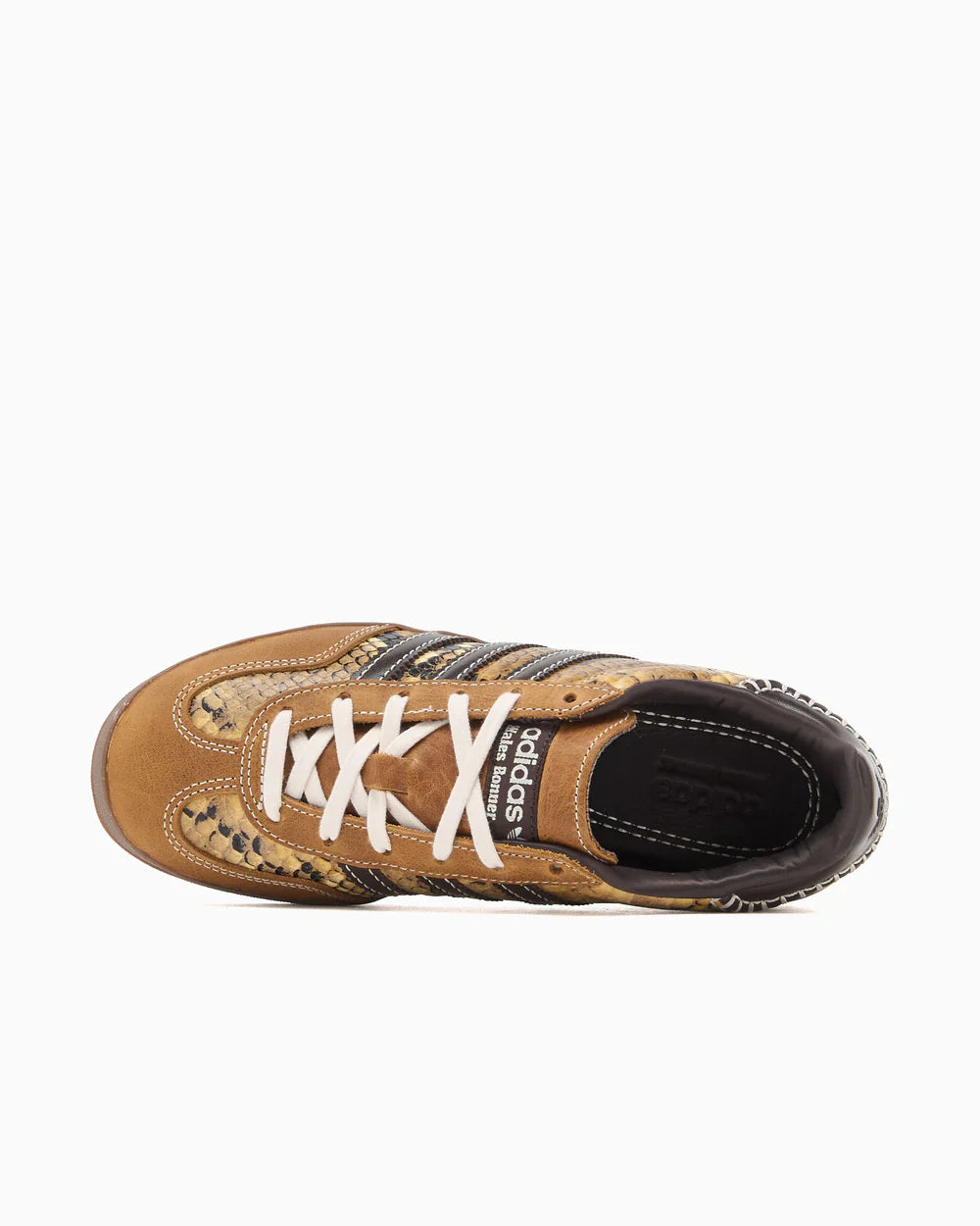 Adidas Gazelle Indoor Wales Bonner Snakeskin