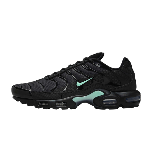 Nike Air Max Plus Black Mint Green