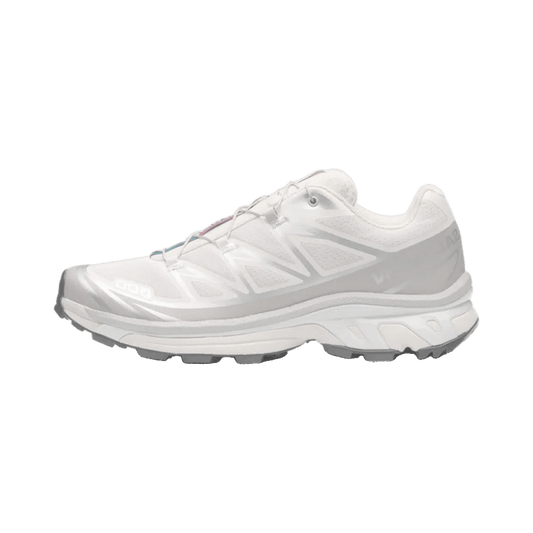 Salomon XT-6 Rainy Day Paloma