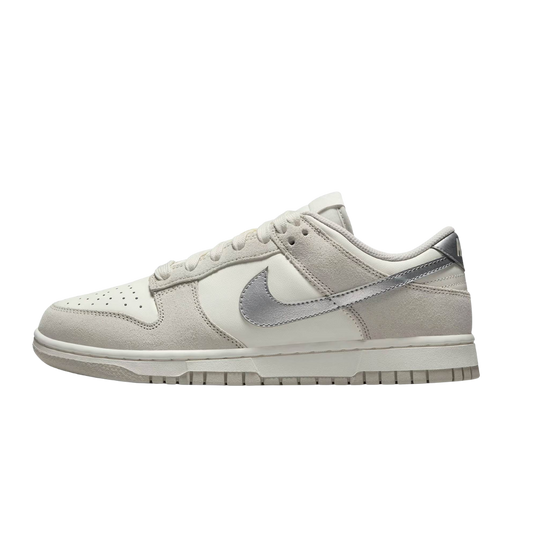 Nike Dunk Low Silver Swoosh
