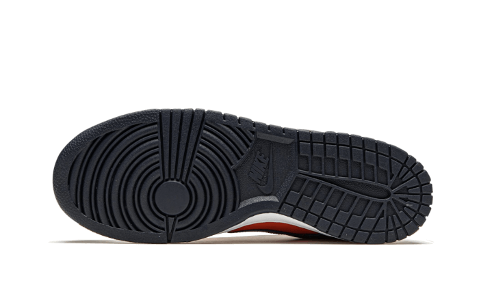Nike Dunk Low SP Champ Colors